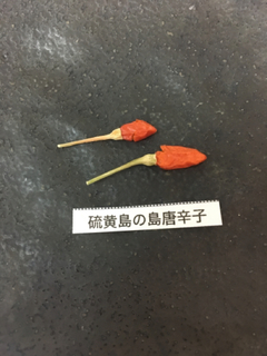 195294BF-9D40-4D1B-96D5-27145BBD63F6.jpg