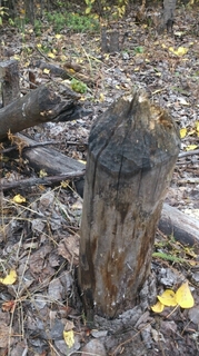 20150923085157661.jpg