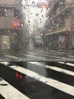 243A6E3E-672E-4B5C-91DB-1C68F824D4DF.jpg