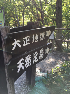 468ED4CF-5894-47D4-BA97-92E0BEAC2150.jpg