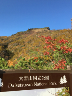 500FB94A-DA36-4515-B3E0-F779F5FCA285.jpg
