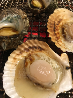 50935A3F-5507-4C2B-A436-F75D6B4ECAC1.jpg