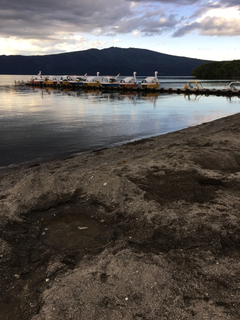 5CB067B0-60FA-441A-98F3-E534DF6D2DF5.jpg