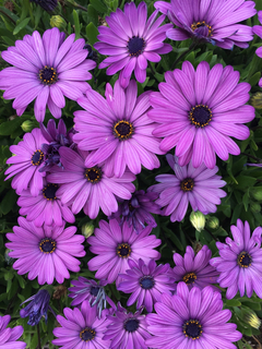 74FD2554-7493-47A6-9D2D-95527731F964.jpg