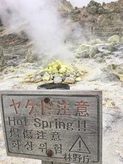88D19516-4D38-45B5-A6B1-48A4FA763BC3.jpg