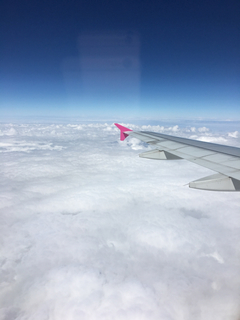 A4DFA728-7388-475F-B8A2-18B66D753B86.jpg