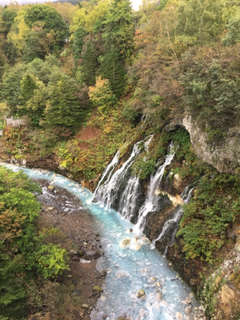 B3422209-C0FE-48AA-B3BA-99E3002BDA4C.jpg