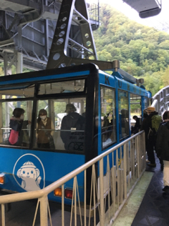 E3EEB2C0-48D5-4DD8-84EC-282A56D7B9D6.jpg