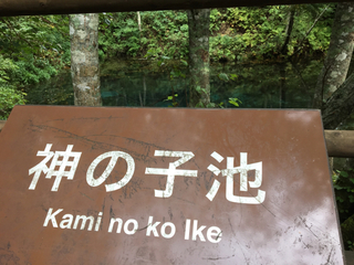 F24C791B-1BFC-4546-BB91-8BB086C70DB0.jpg