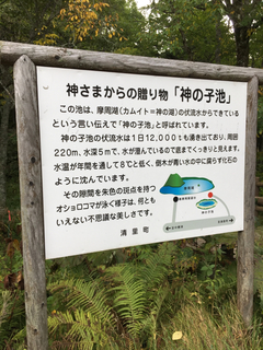 F987A984-4981-4FE7-9669-B2524B51DF61.jpg