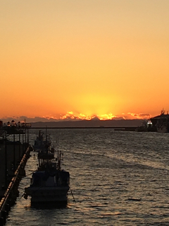 FBC225AA-B3FA-4858-8667-C626214765F0.jpg