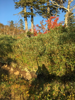 FE2070F2-DEDC-40E0-915D-46FF2A6102F2.jpg