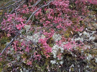 IMGP0122.jpg