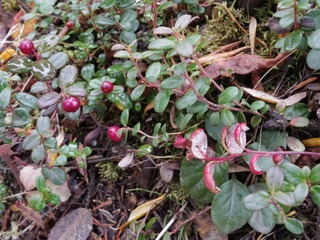 IMGP0123.jpg
