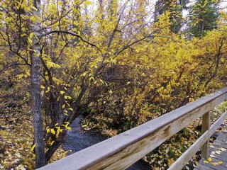 IMGP0125.jpg