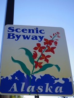 IMGP0606.jpg