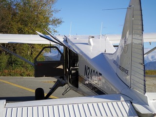 IMGP0630.jpg