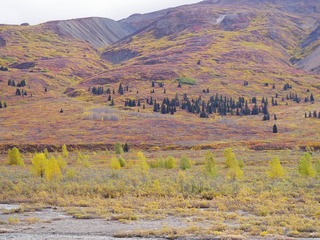 IMGP0795.jpg