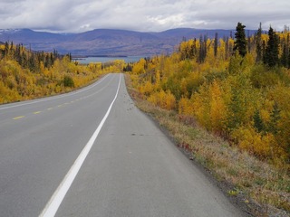 IMGP0806.jpg