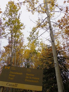 IMGP0822.jpg